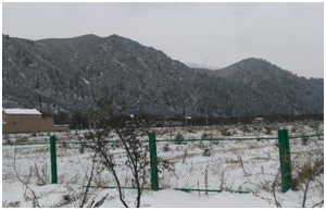 ����(�й���)�����ٷ���վ-LEYU SPORTS