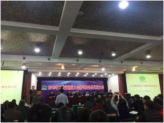 ����(�й���)�����ٷ���վ-LEYU SPORTS