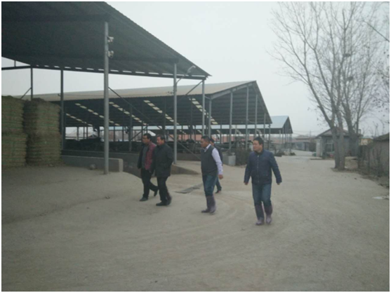 ����(�й���)�����ٷ���վ-LEYU SPORTS