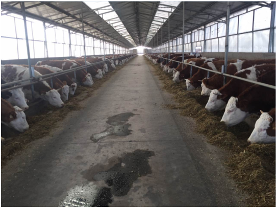 ����(�й���)�����ٷ���վ-LEYU SPORTS