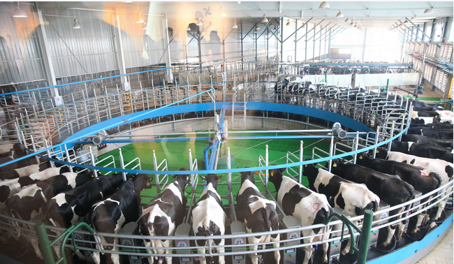 ����(�й���)�����ٷ���վ-LEYU SPORTS