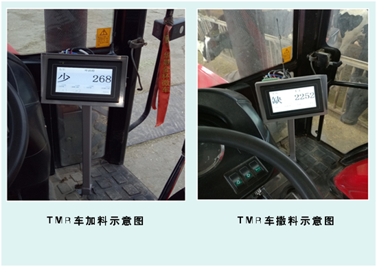 ����(�й���)�����ٷ���վ-LEYU SPORTS