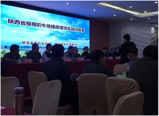 ����(�й���)�����ٷ���վ-LEYU SPORTS