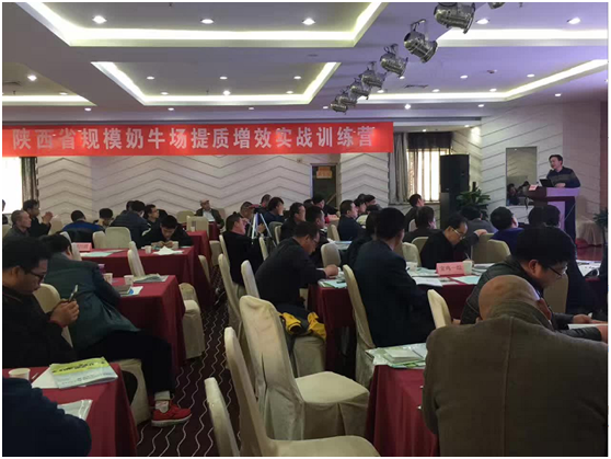 ����(�й���)�����ٷ���վ-LEYU SPORTS