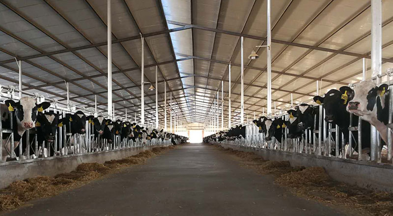 ����(�й���)�����ٷ���վ-LEYU SPORTS