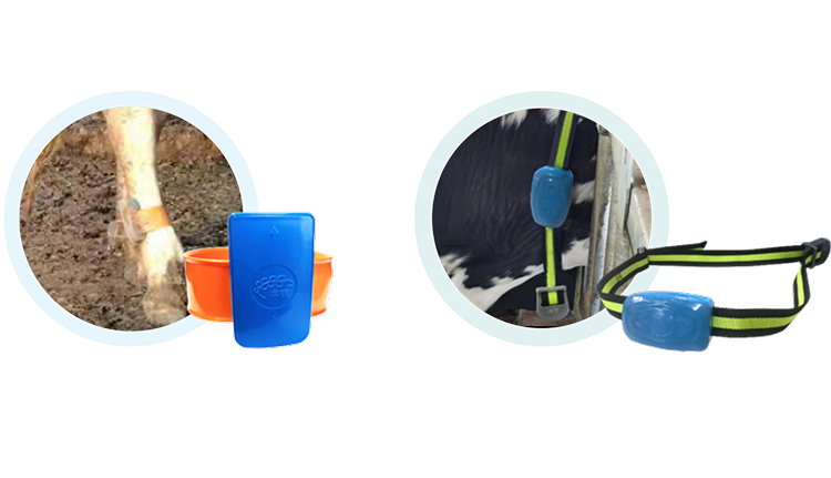 ����(�й���)�����ٷ���վ-LEYU SPORTS