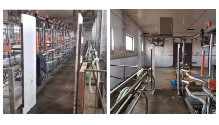 ����(�й���)�����ٷ���վ-LEYU SPORTS