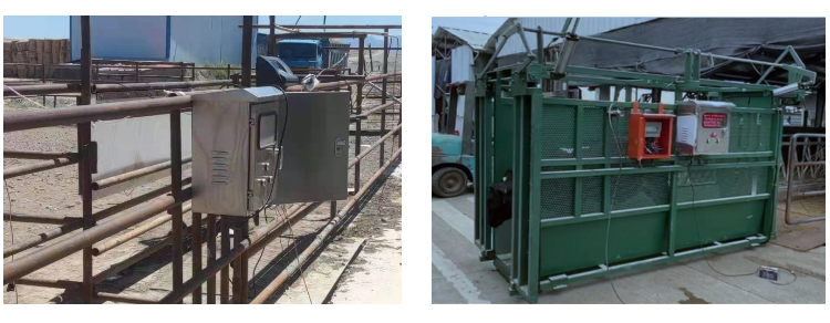 ����(�й���)�����ٷ���վ-LEYU SPORTS