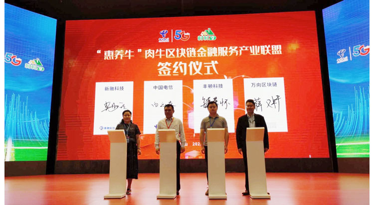 ����(�й���)�����ٷ���վ-LEYU SPORTS