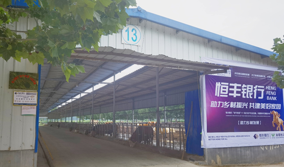 ����(�й���)�����ٷ���վ-LEYU SPORTS