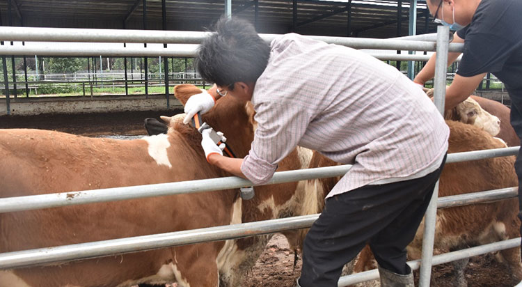 ����(�й���)�����ٷ���վ-LEYU SPORTS