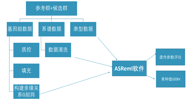 ����(�й���)�����ٷ���վ-LEYU SPORTS