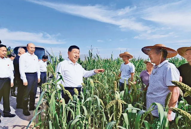 ����(�й���)�����ٷ���վ-LEYU SPORTS