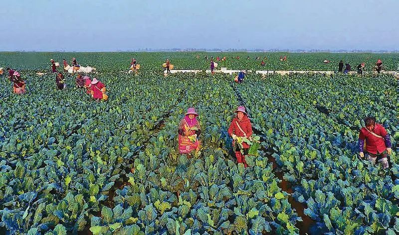 ����(�й���)�����ٷ���վ-LEYU SPORTS