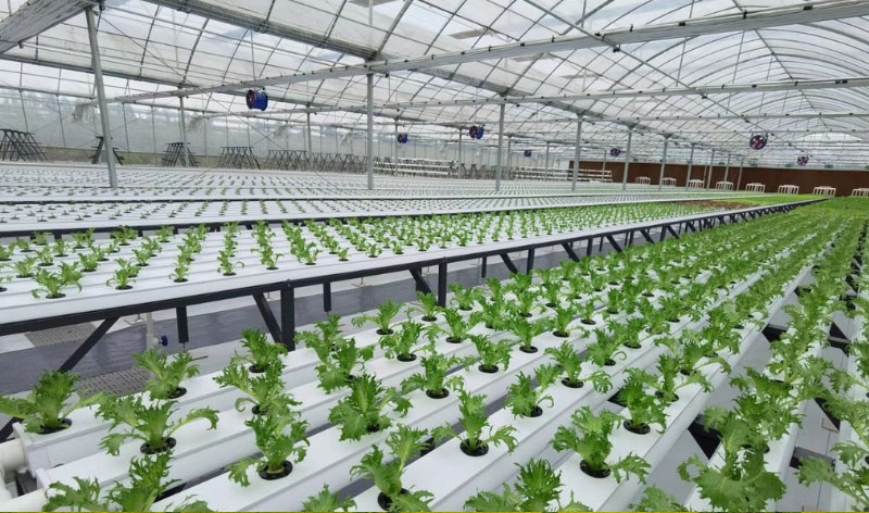 ����(�й���)�����ٷ���վ-LEYU SPORTS