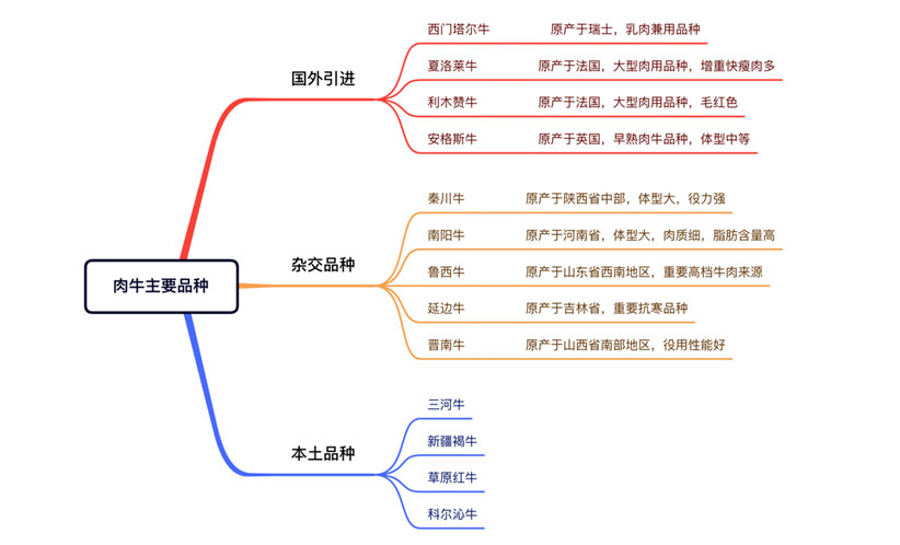 ����(�й���)�����ٷ���վ-LEYU SPORTS