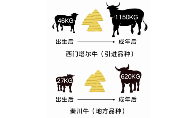 ����(�й���)�����ٷ���վ-LEYU SPORTS