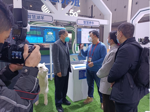 ����(�й���)�����ٷ���վ-LEYU SPORTS