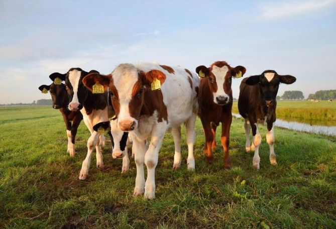 乐鱼(中国游)体育官方网站-LEYU SPORTS