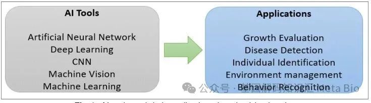 ����(�й���)�����ٷ���վ-LEYU SPORTS