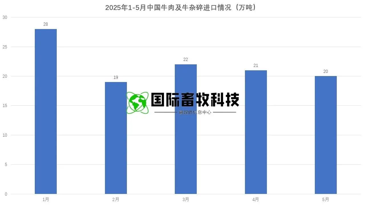 ����(�й���)�����ٷ���վ-LEYU SPORTS